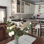 Sunny Central New Classic House